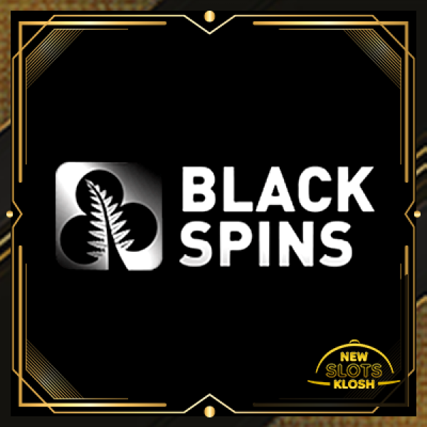 Black Spins Casino Logo