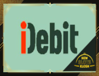 iDebit Logo