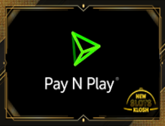 Pay N Play Logo