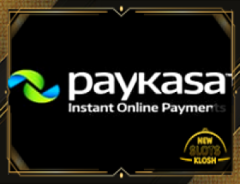 Paykasa Logo