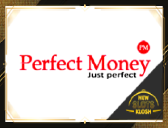 Perfect Money Logo